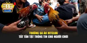 Trường Gà Ảo HITCLUB - Tất Tần Tật Thông Tin Cho Người Chơi